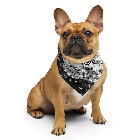 Agender Pride Waves Bandana